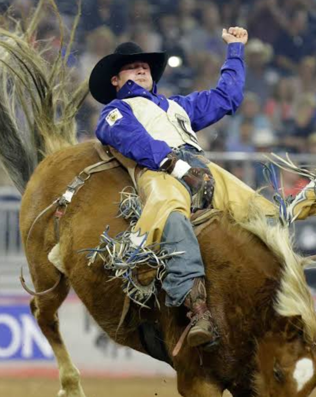 Gran Rodeo