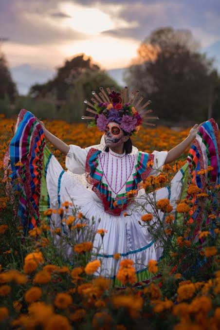 Una maravilla