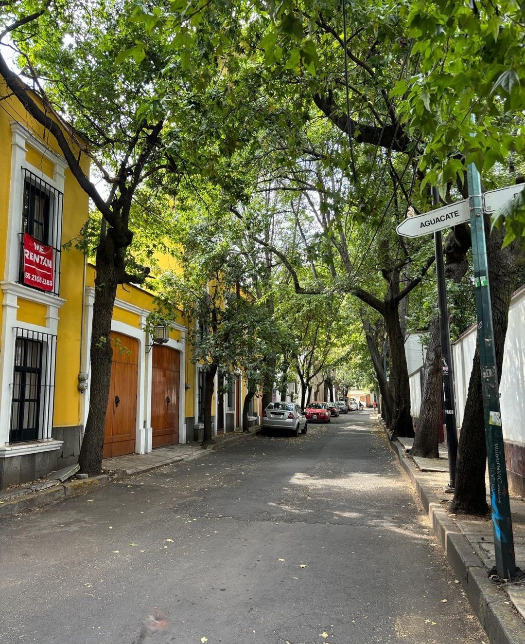 CDMX