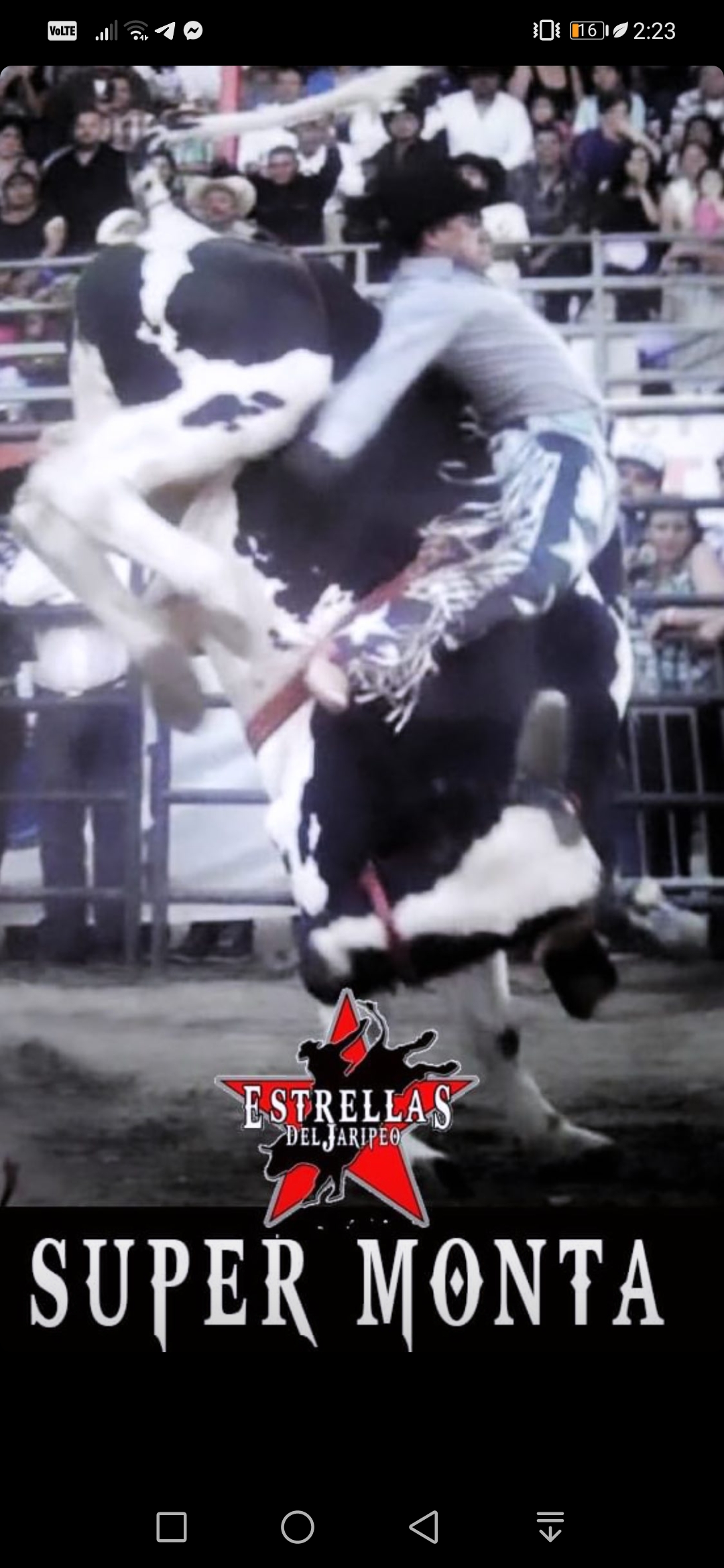 El arte de jineteo!