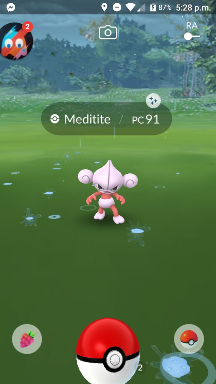 Meditite