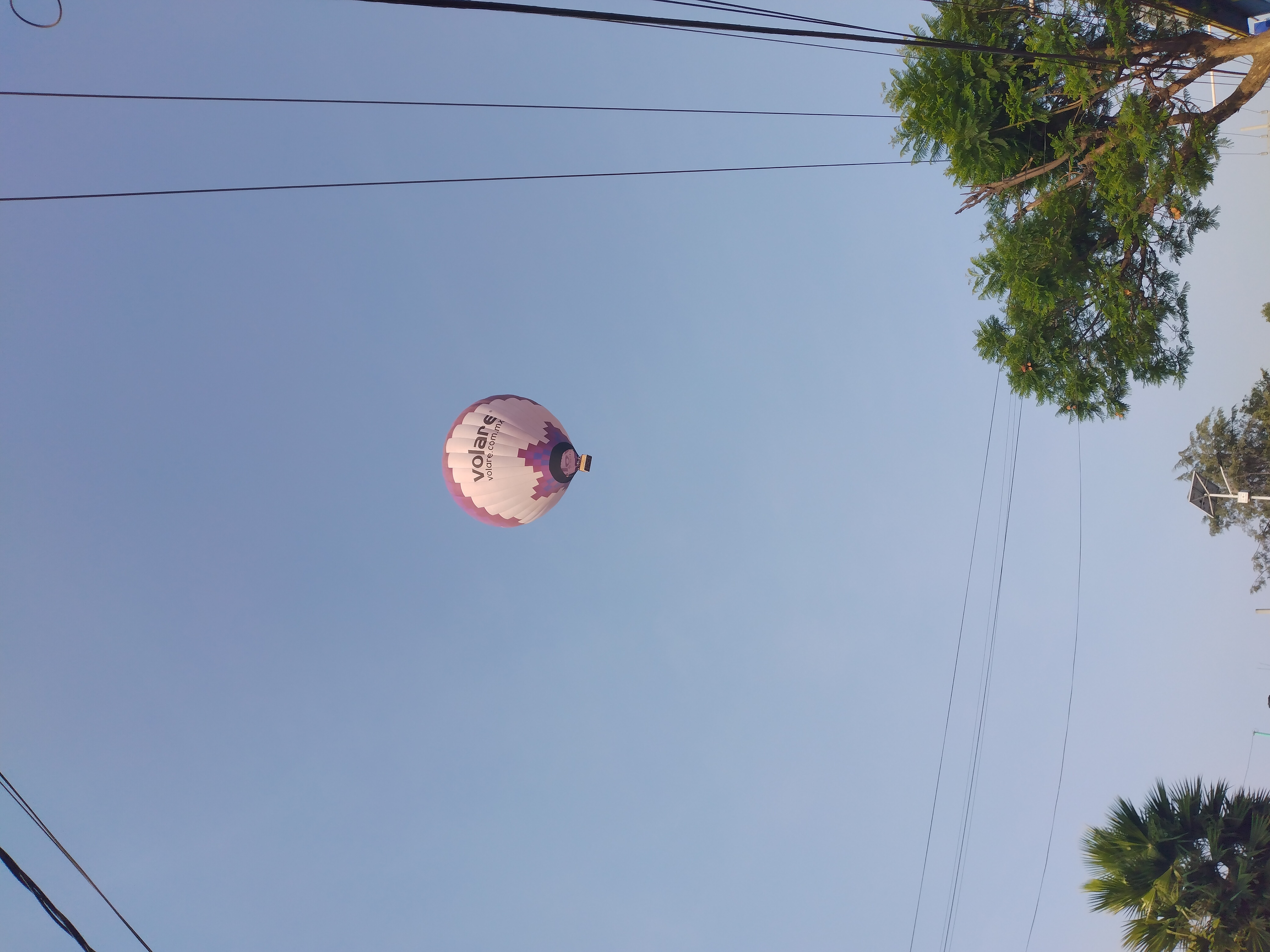 Globo