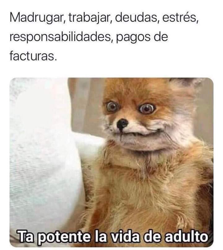.