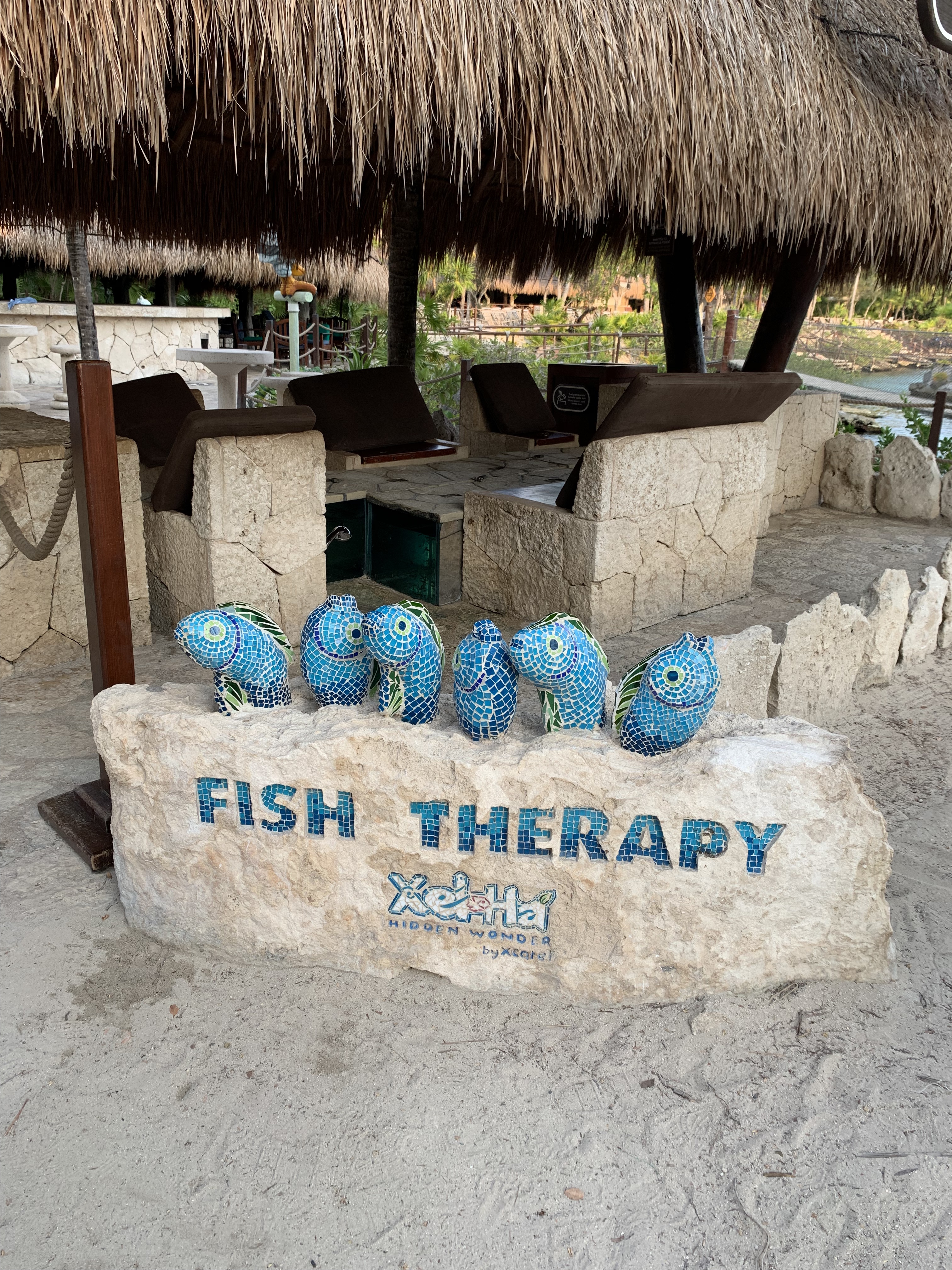 Fish Therapy