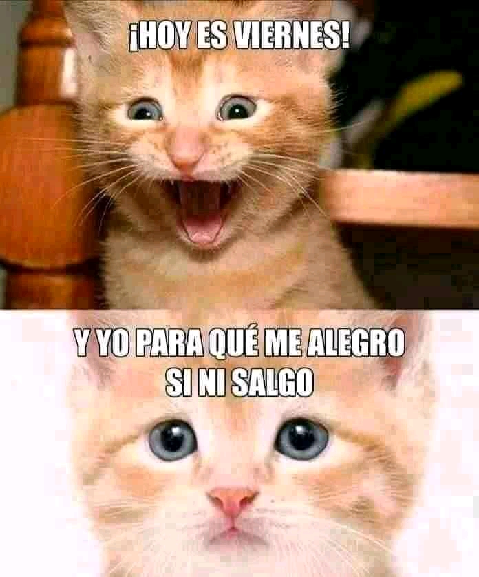 Jajaja
