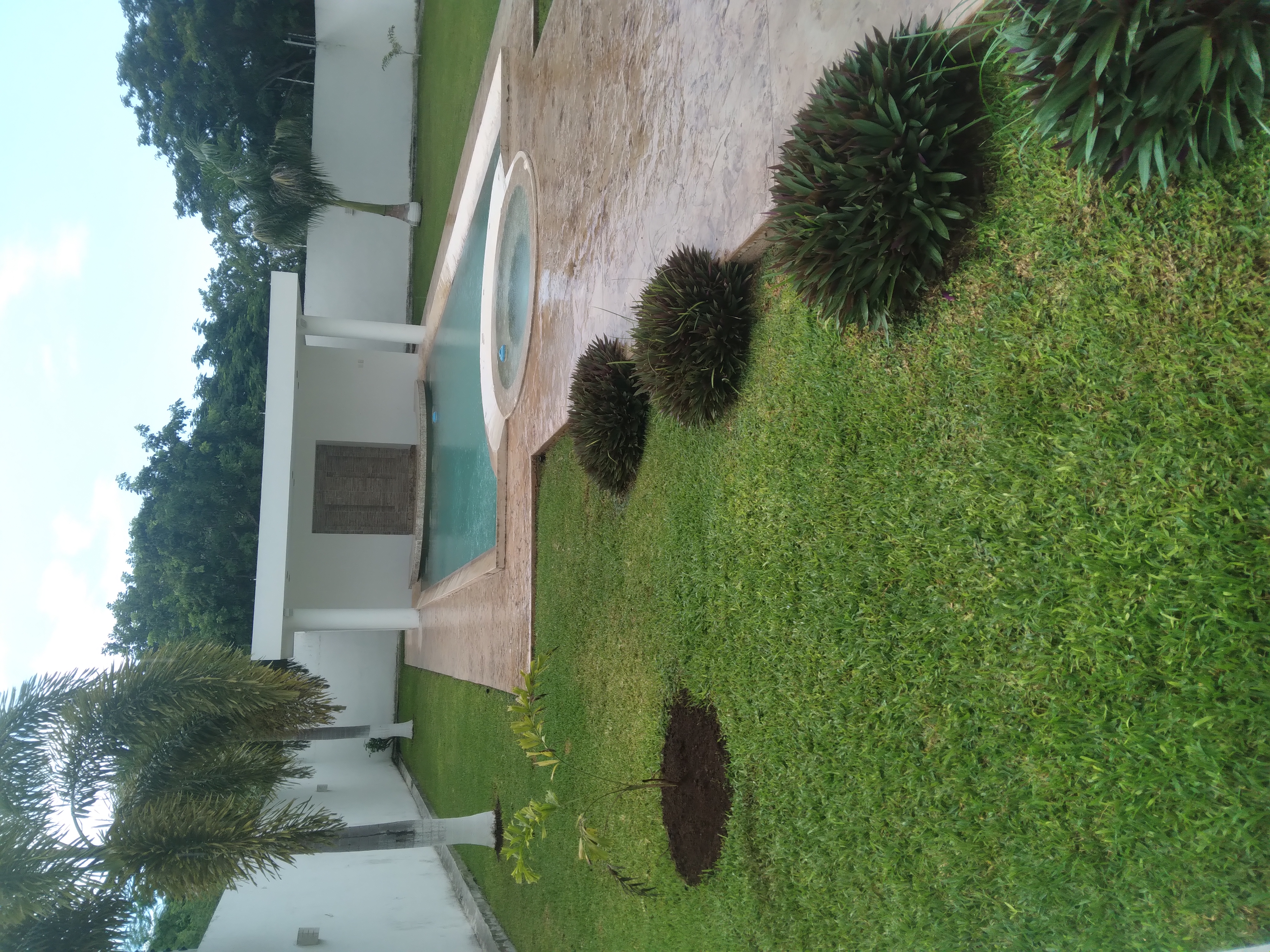 Tarde lluviosa en mi jardín trasero