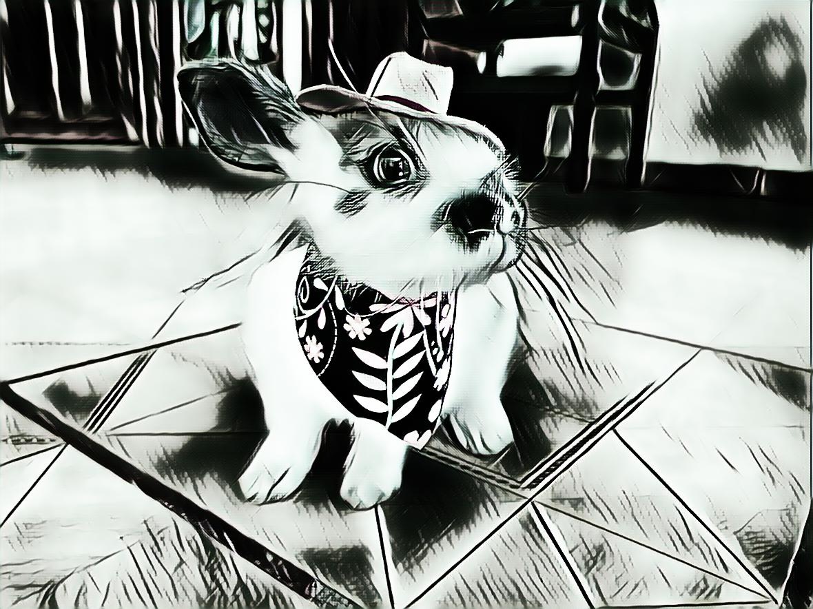 Señor tequila #13