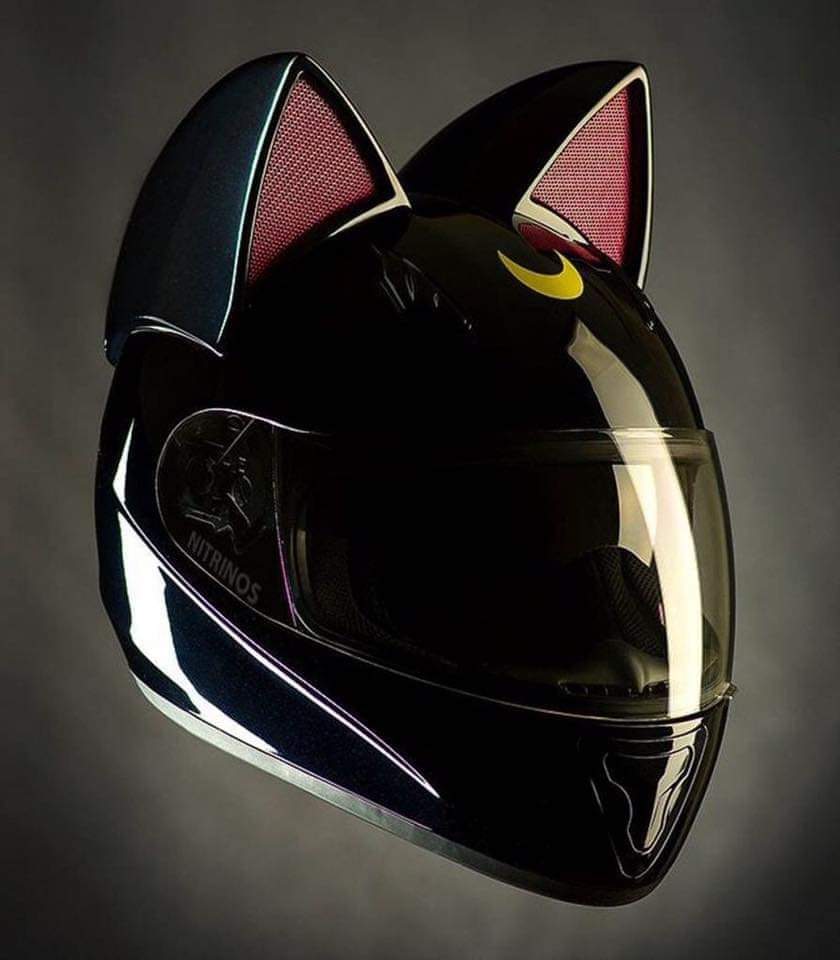 Mi compañera de vida