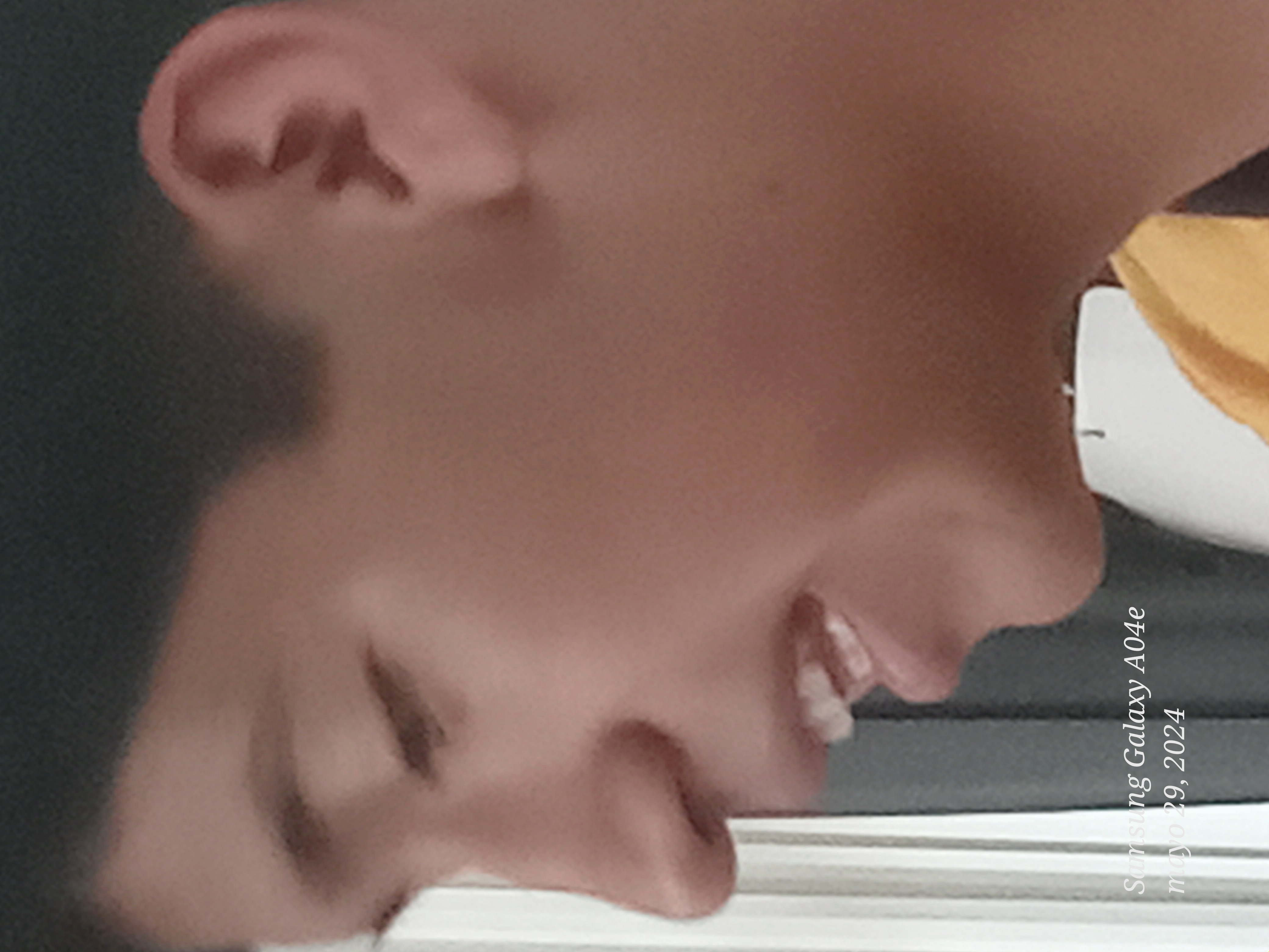 Irvis