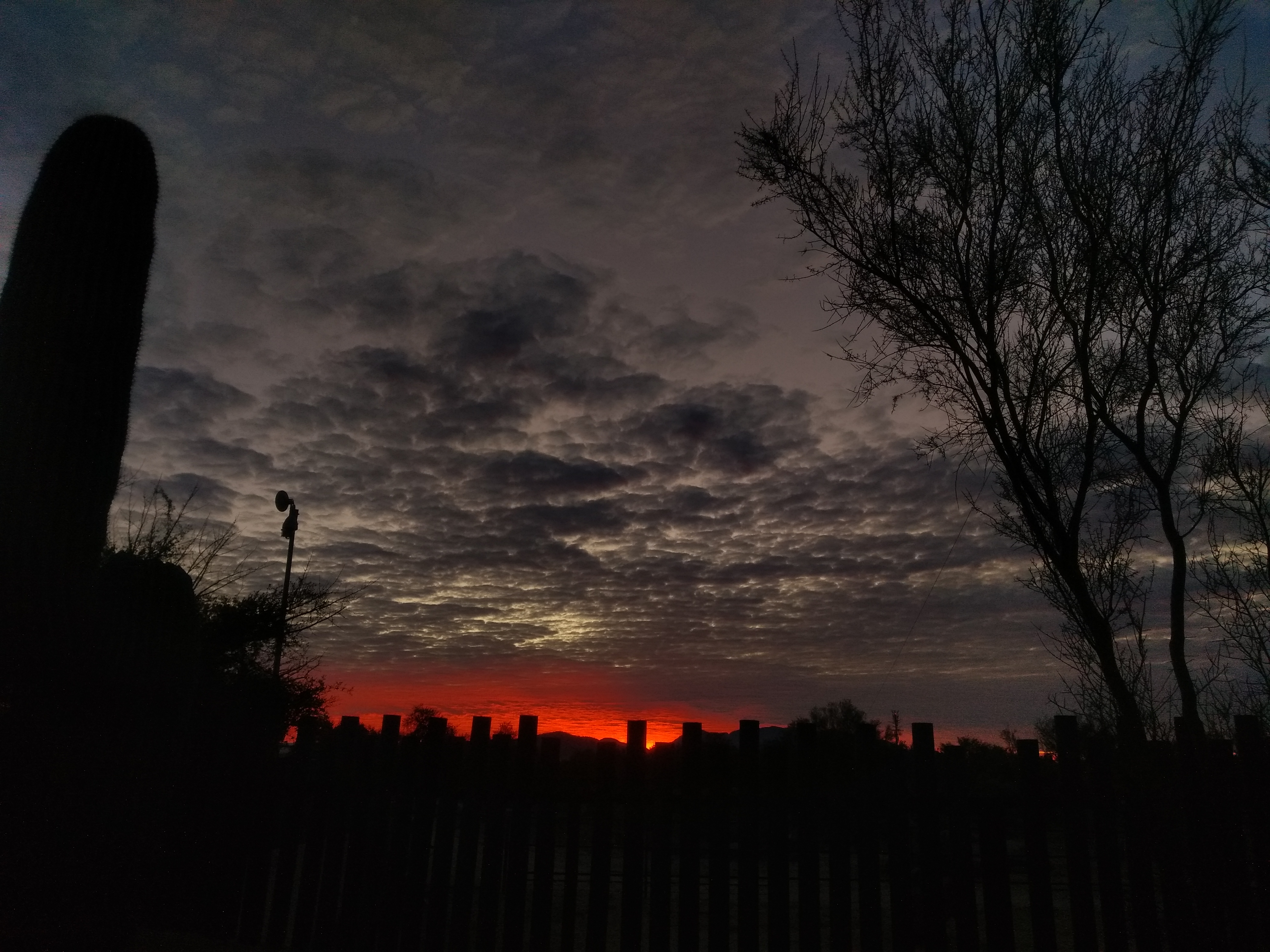 Rojo amanecer