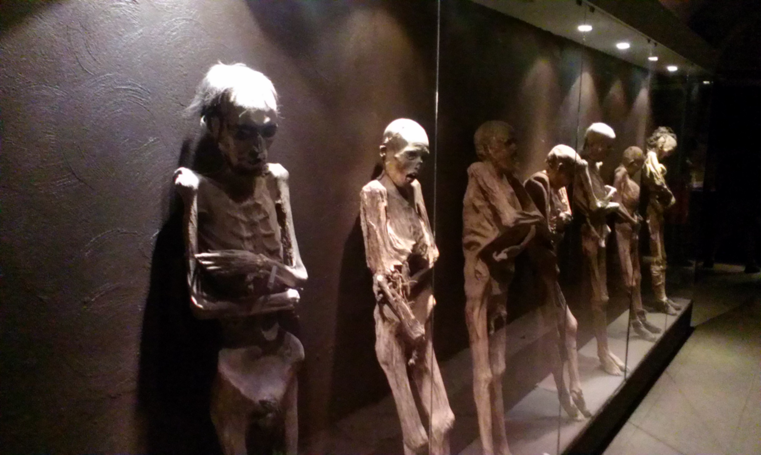 Momias del Museo