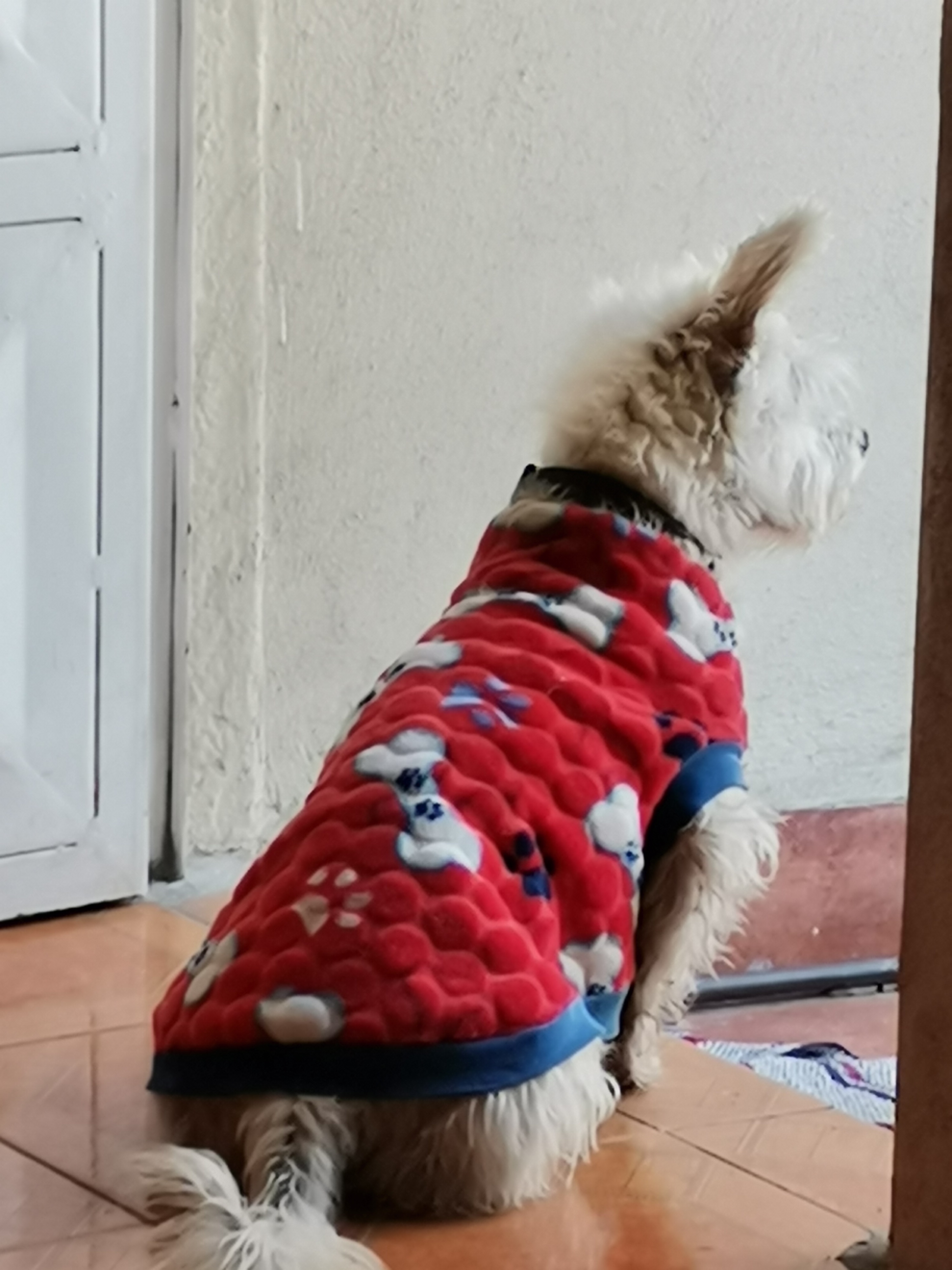 Esperandote