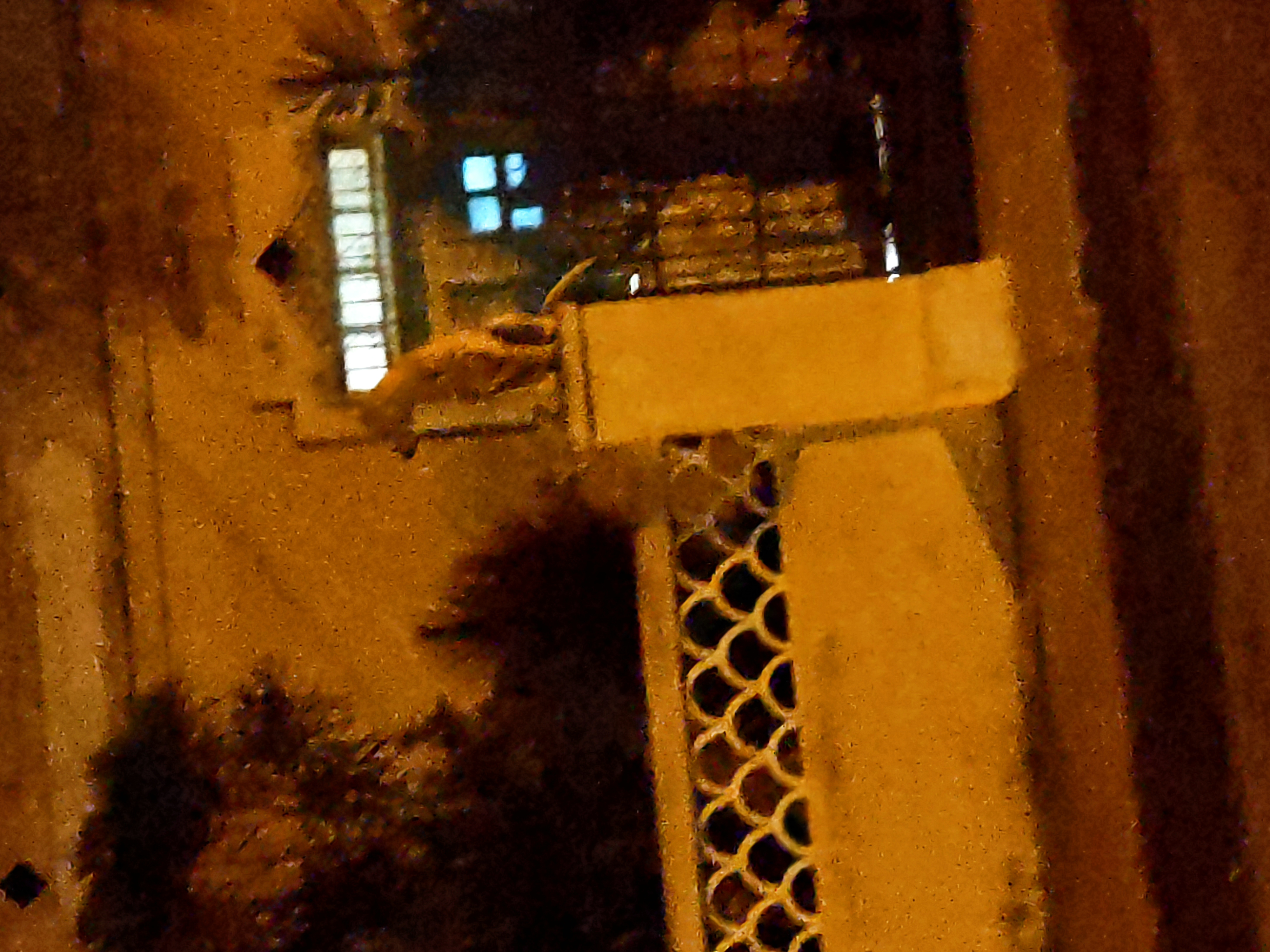 Perro guardián