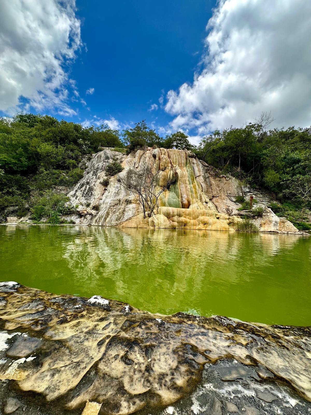 Pool Green Oaxaca