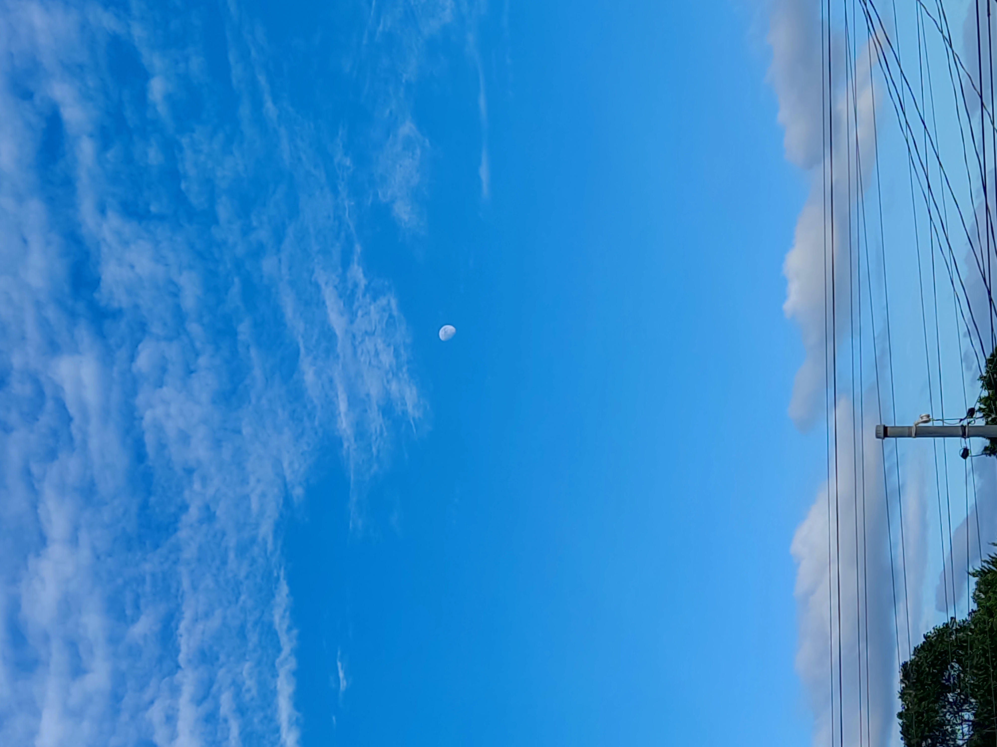 Día lunar