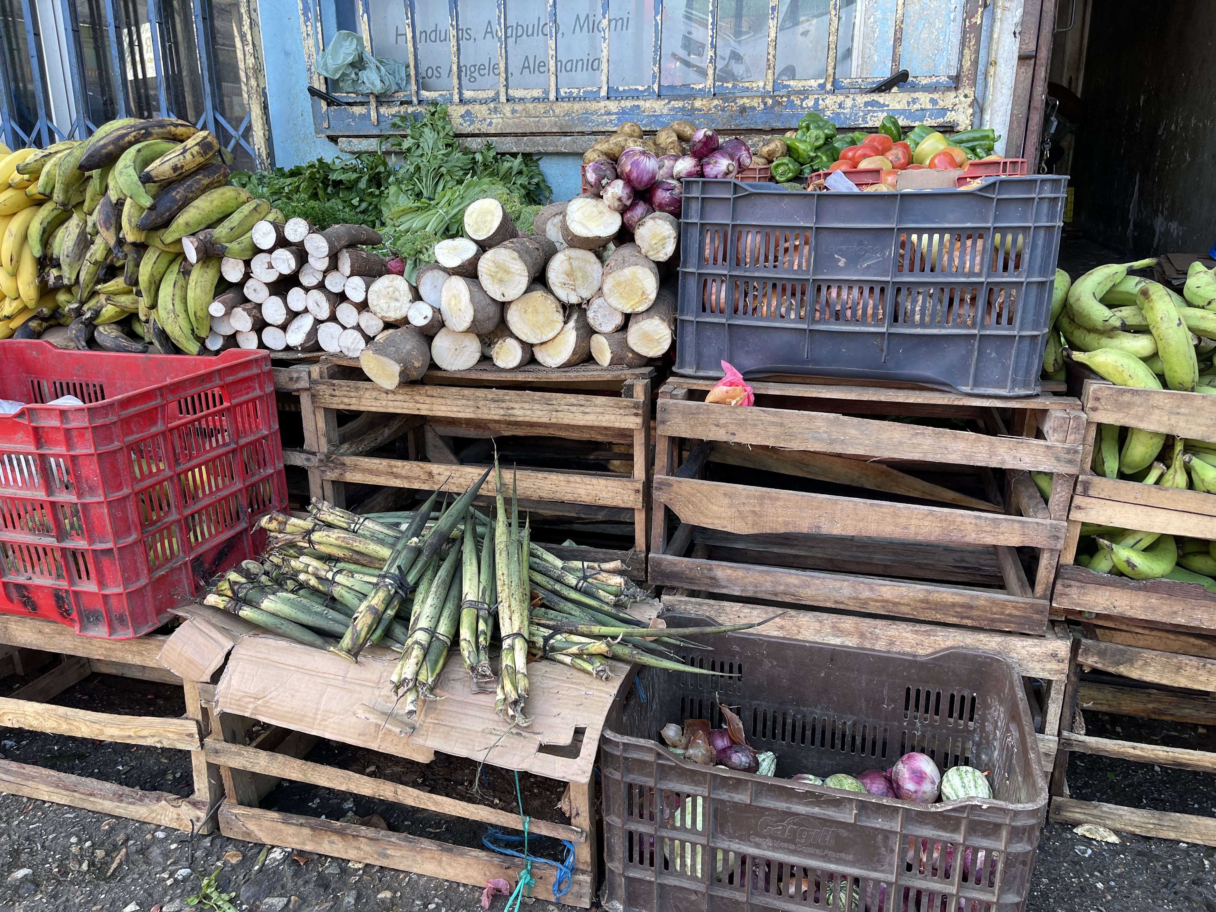 fruit and begetable market