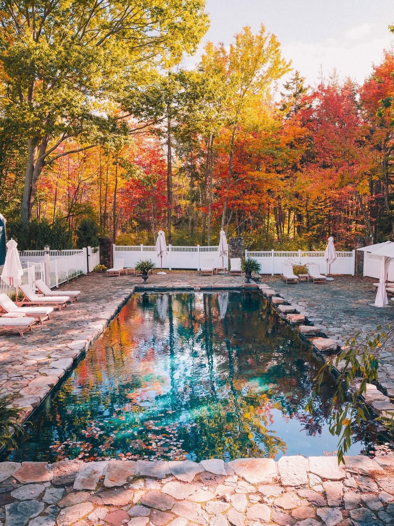 the pool yall