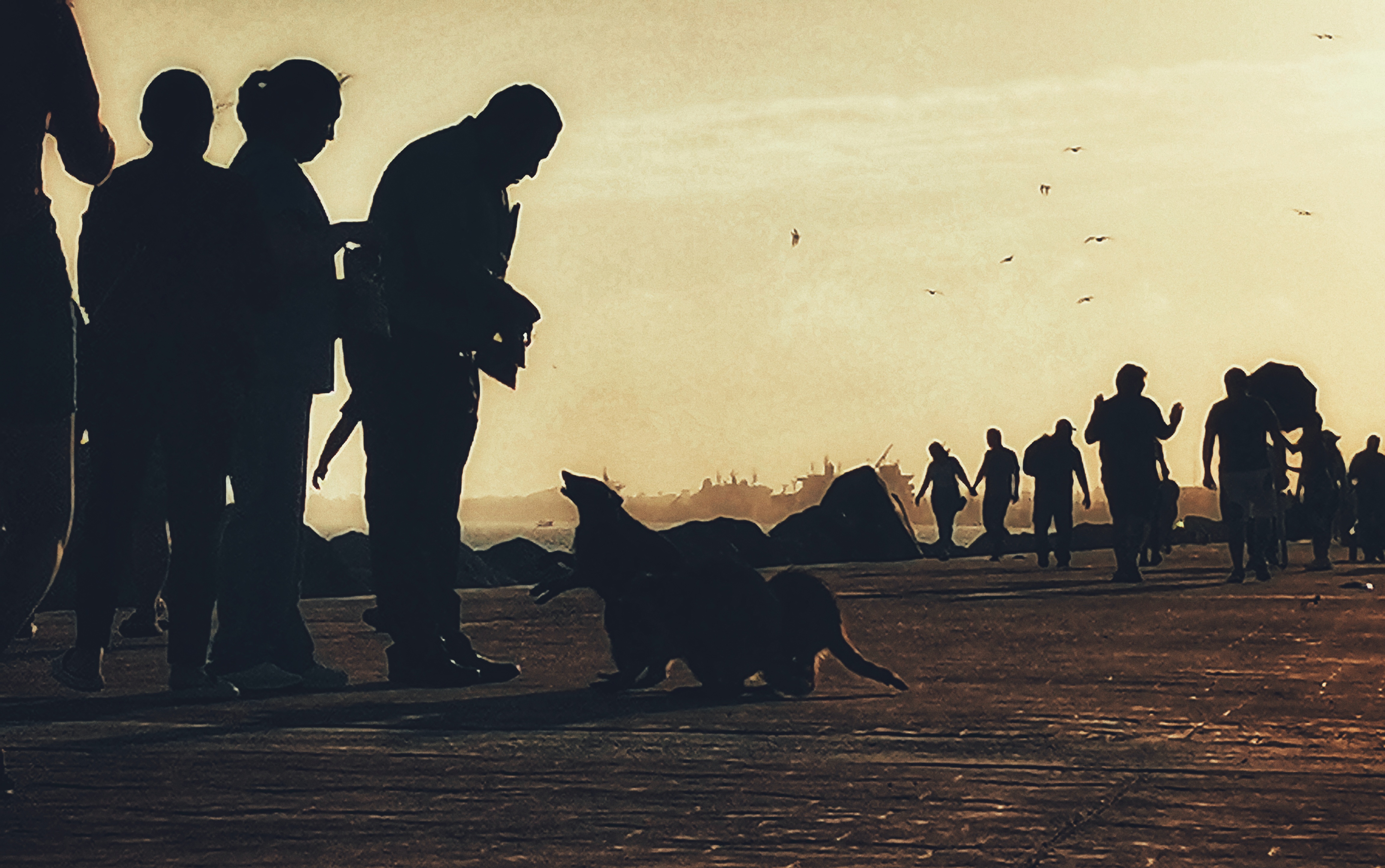 Abuelos alimentando mapaches