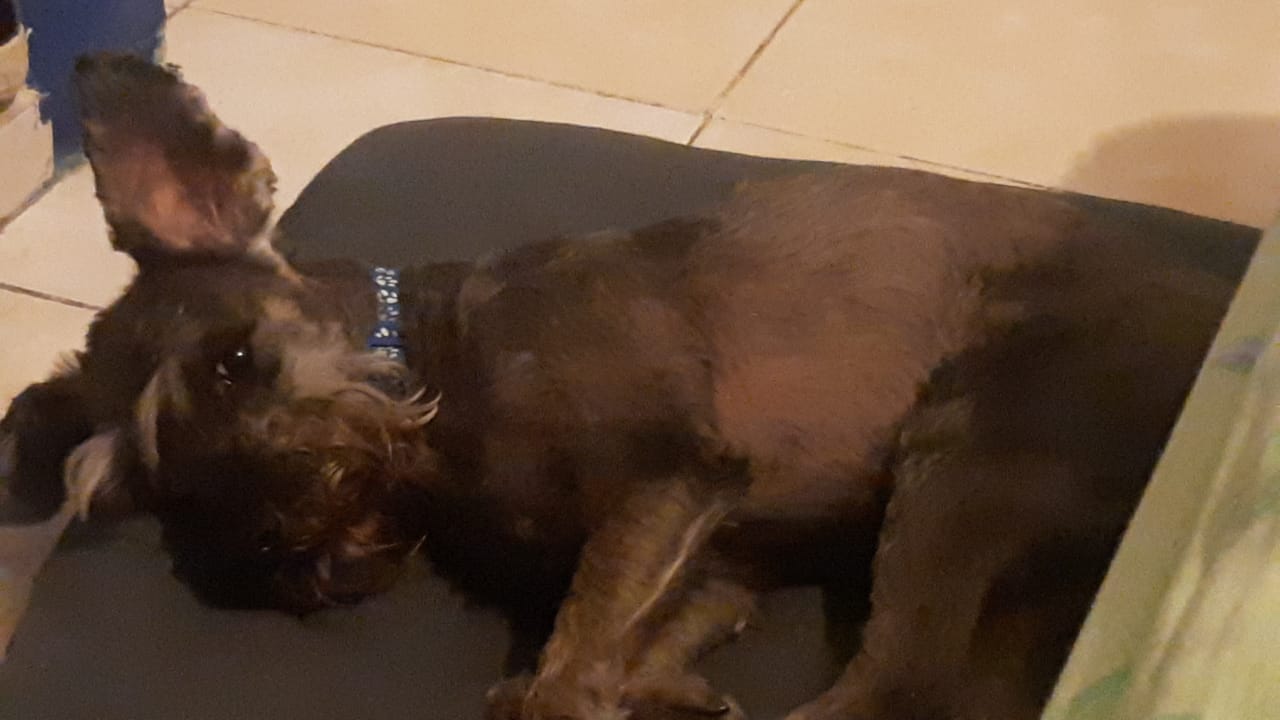 COSMO