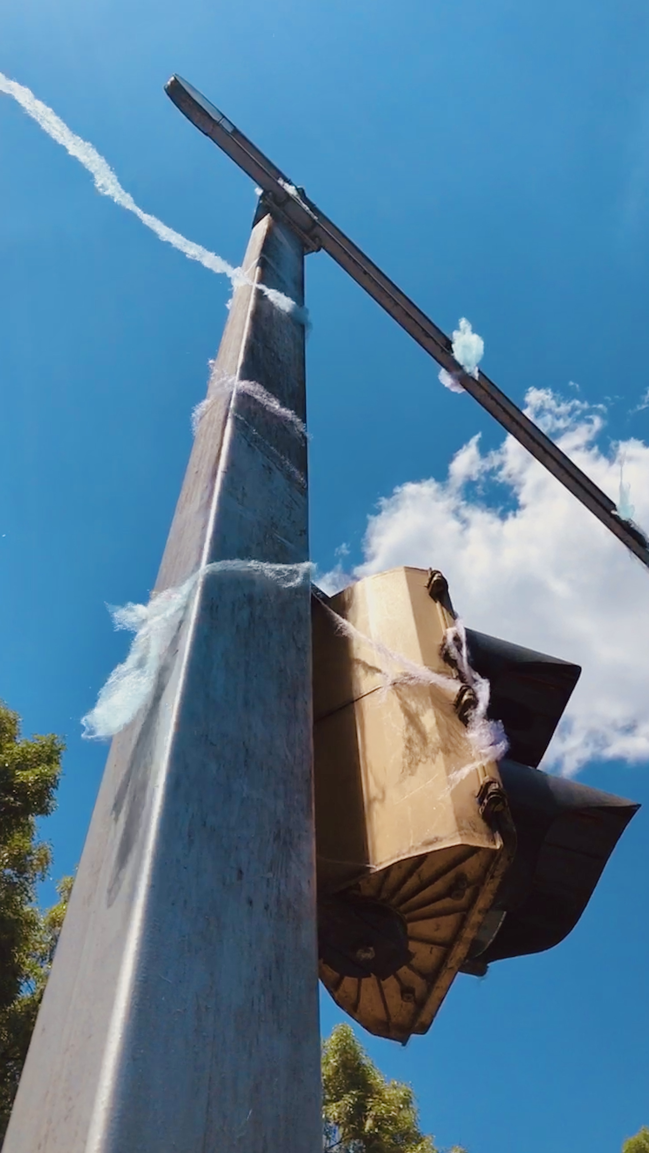 sweet day dreams // cdmx