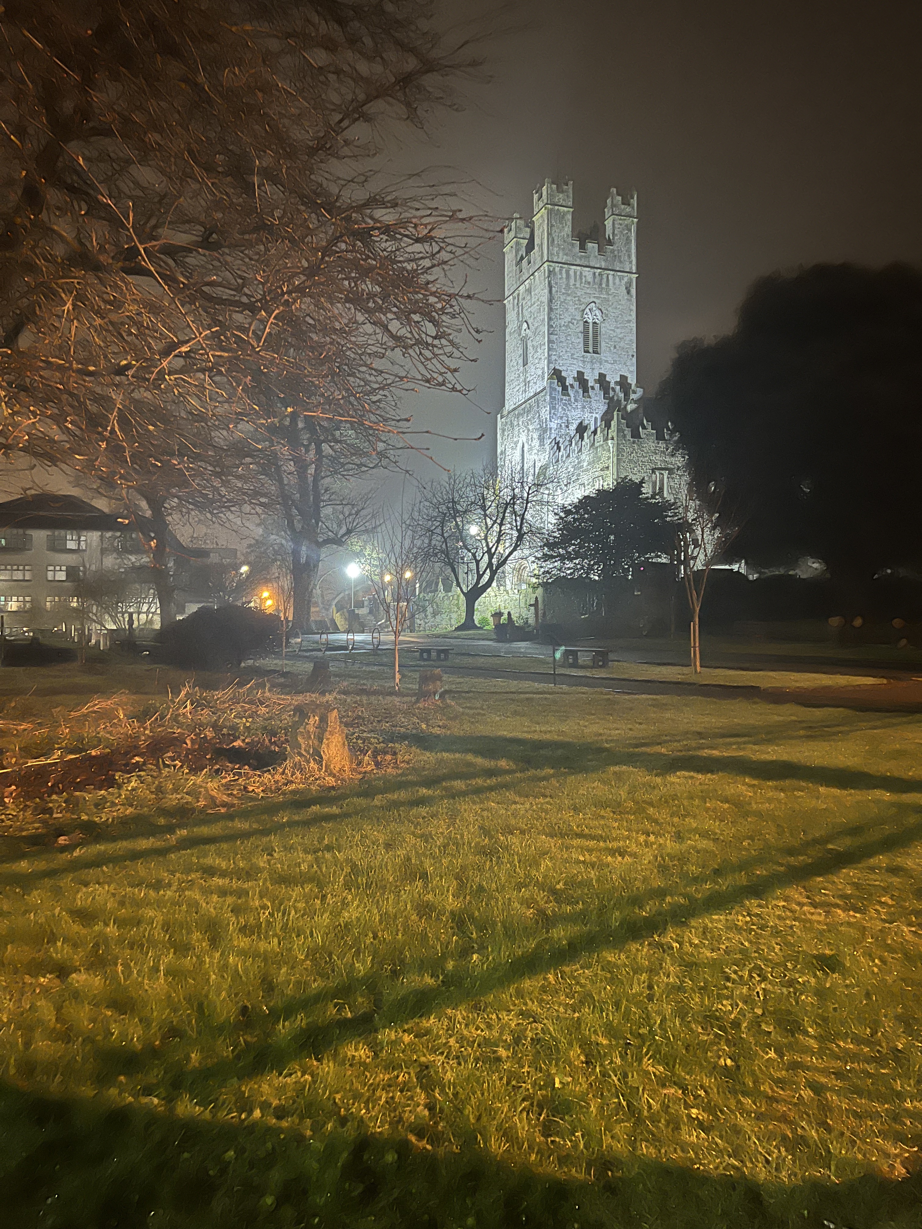 Limerick