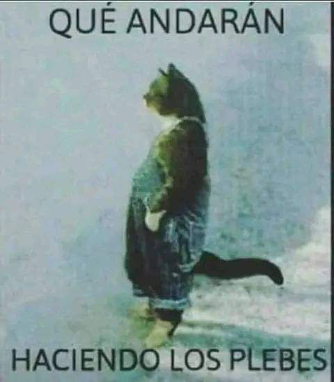 Qué andarán haciendo los plebes