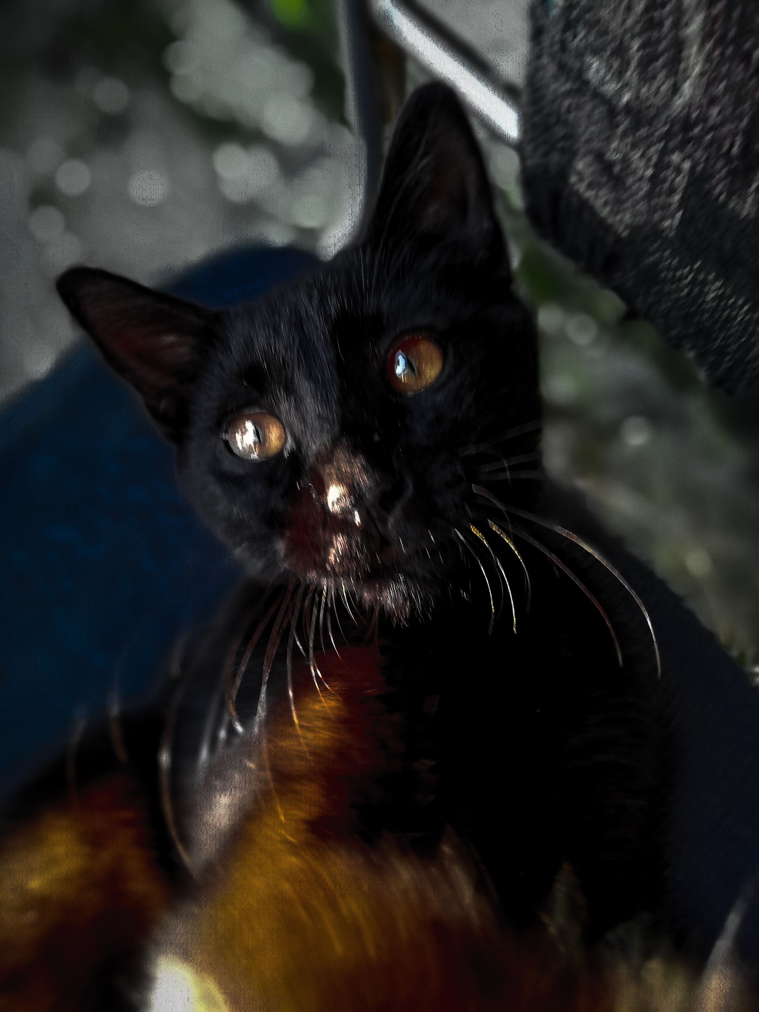 Baile por Victor Manuel