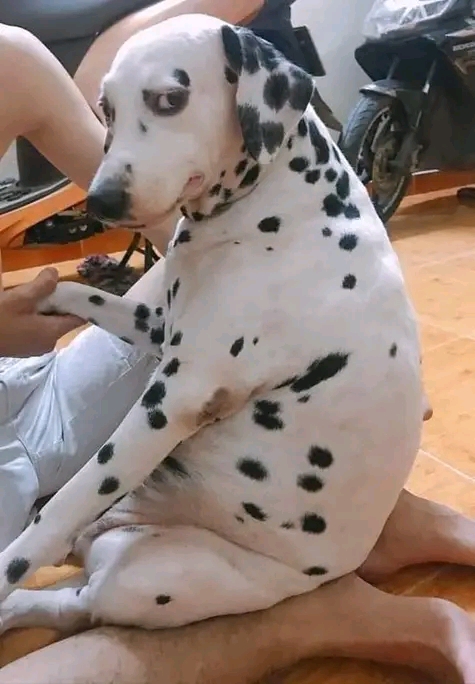 No ando de buenas-.-