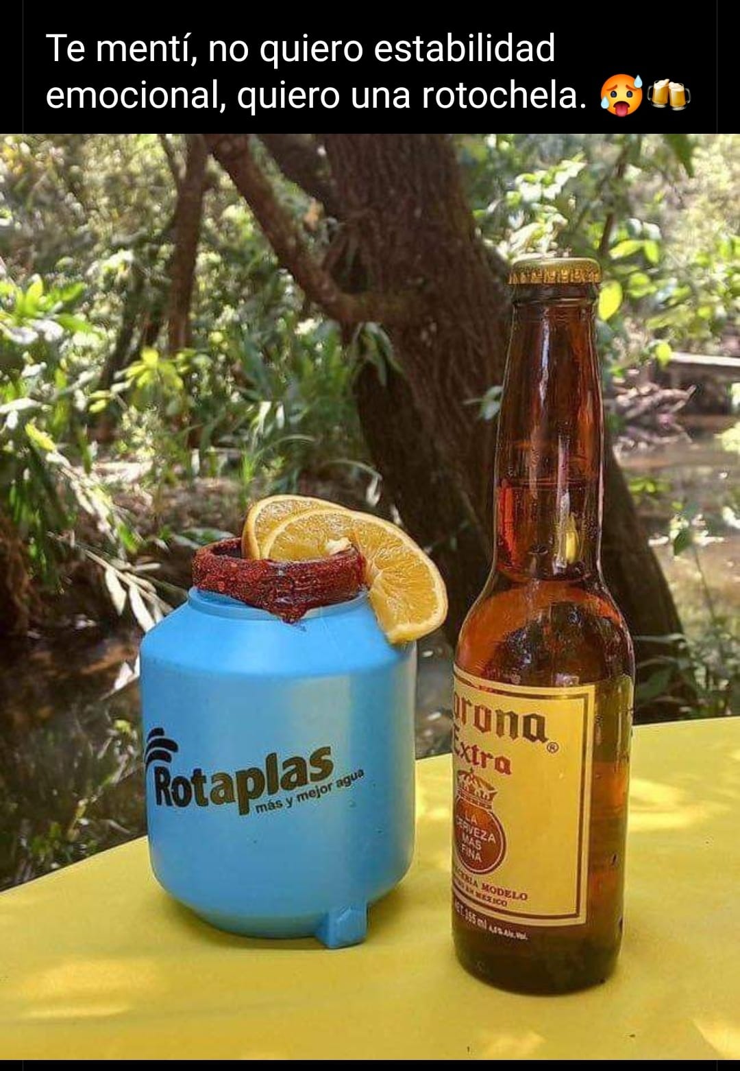 Rotochela