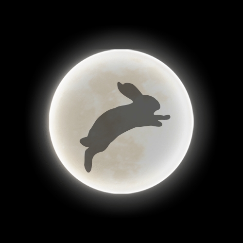 Un consejo en la luna!?