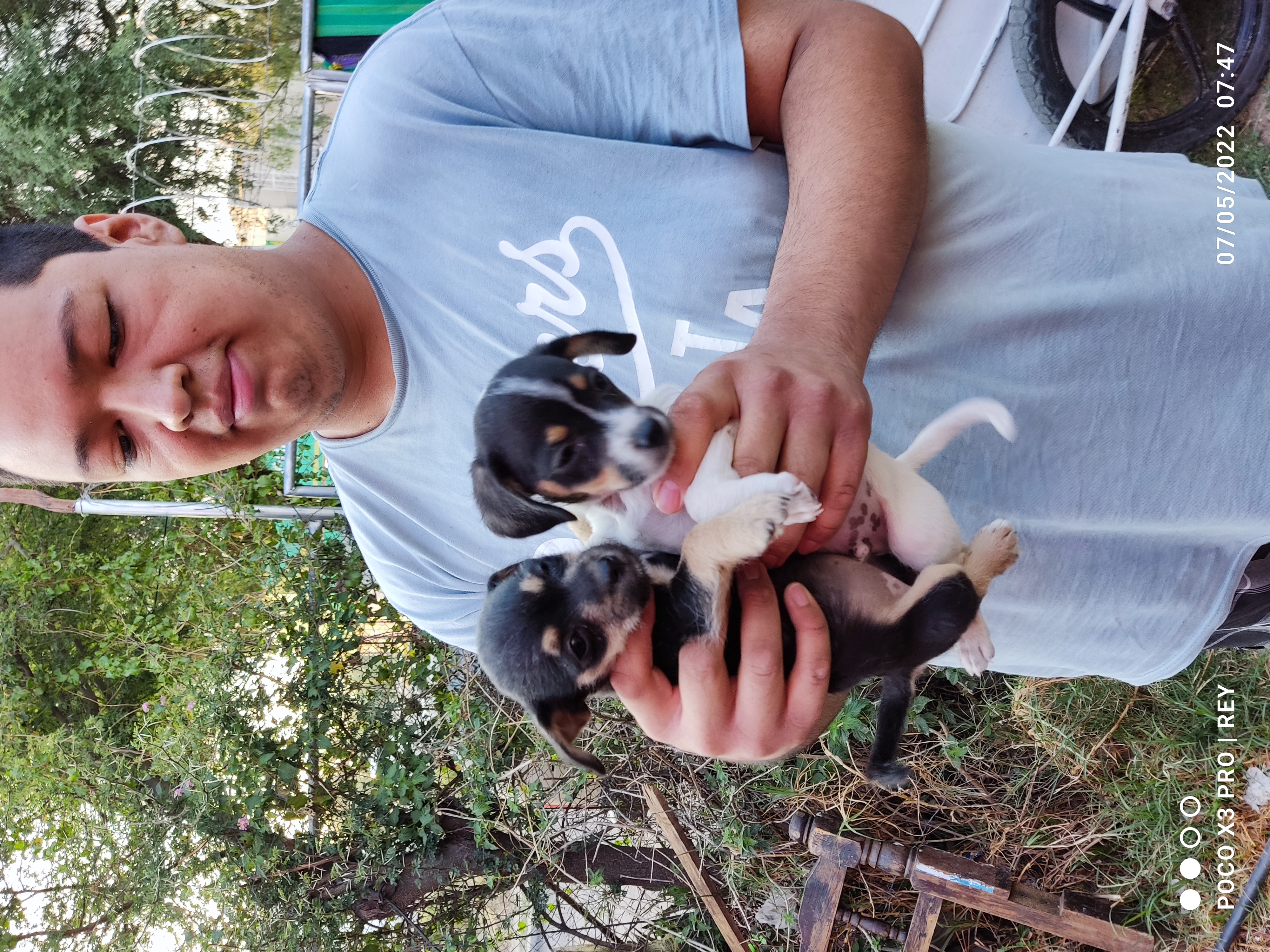 Digo y los pulguitos