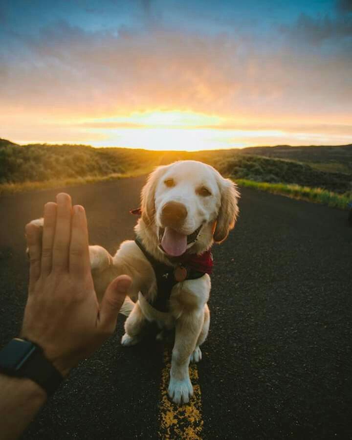 Hi5