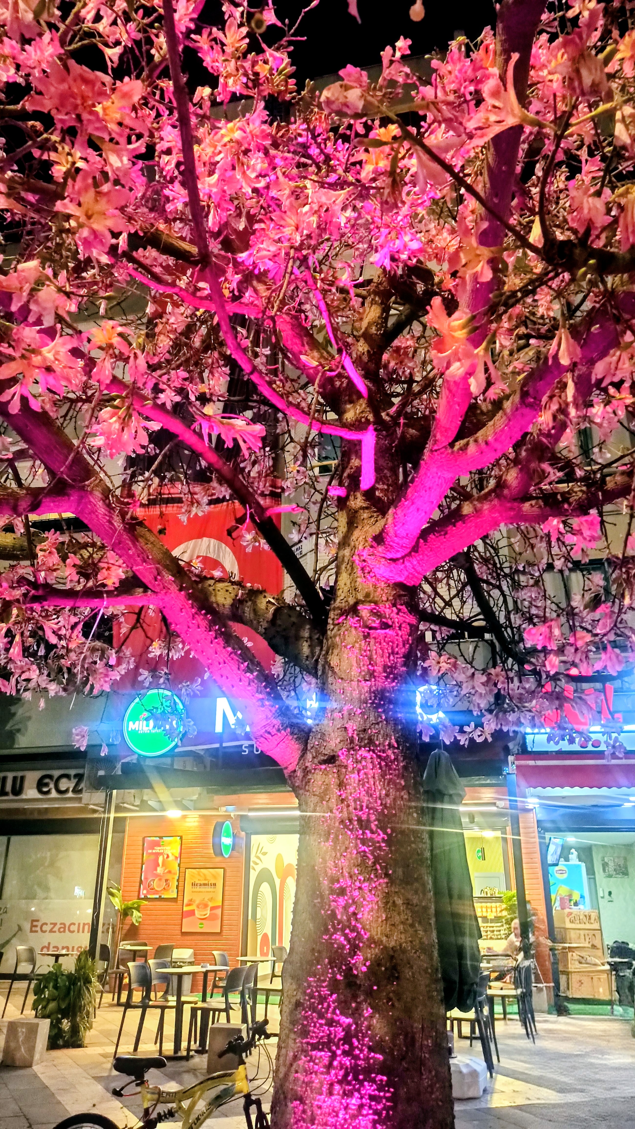 Puzzle monkey tree