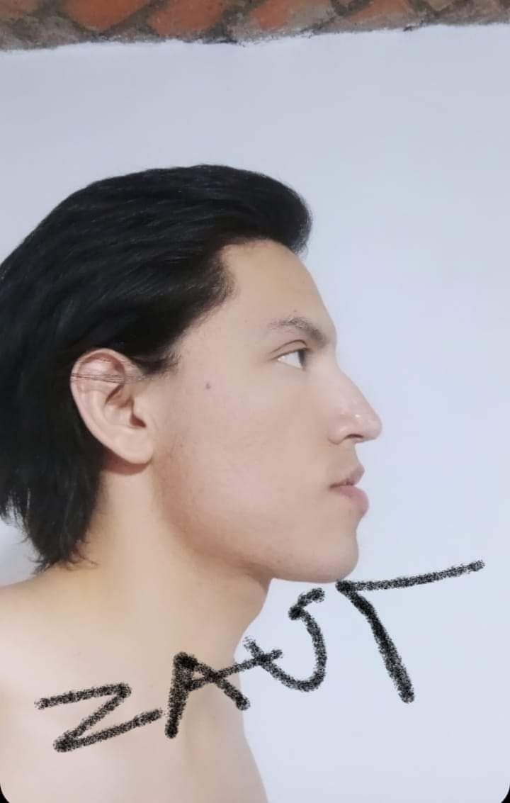 Zaut