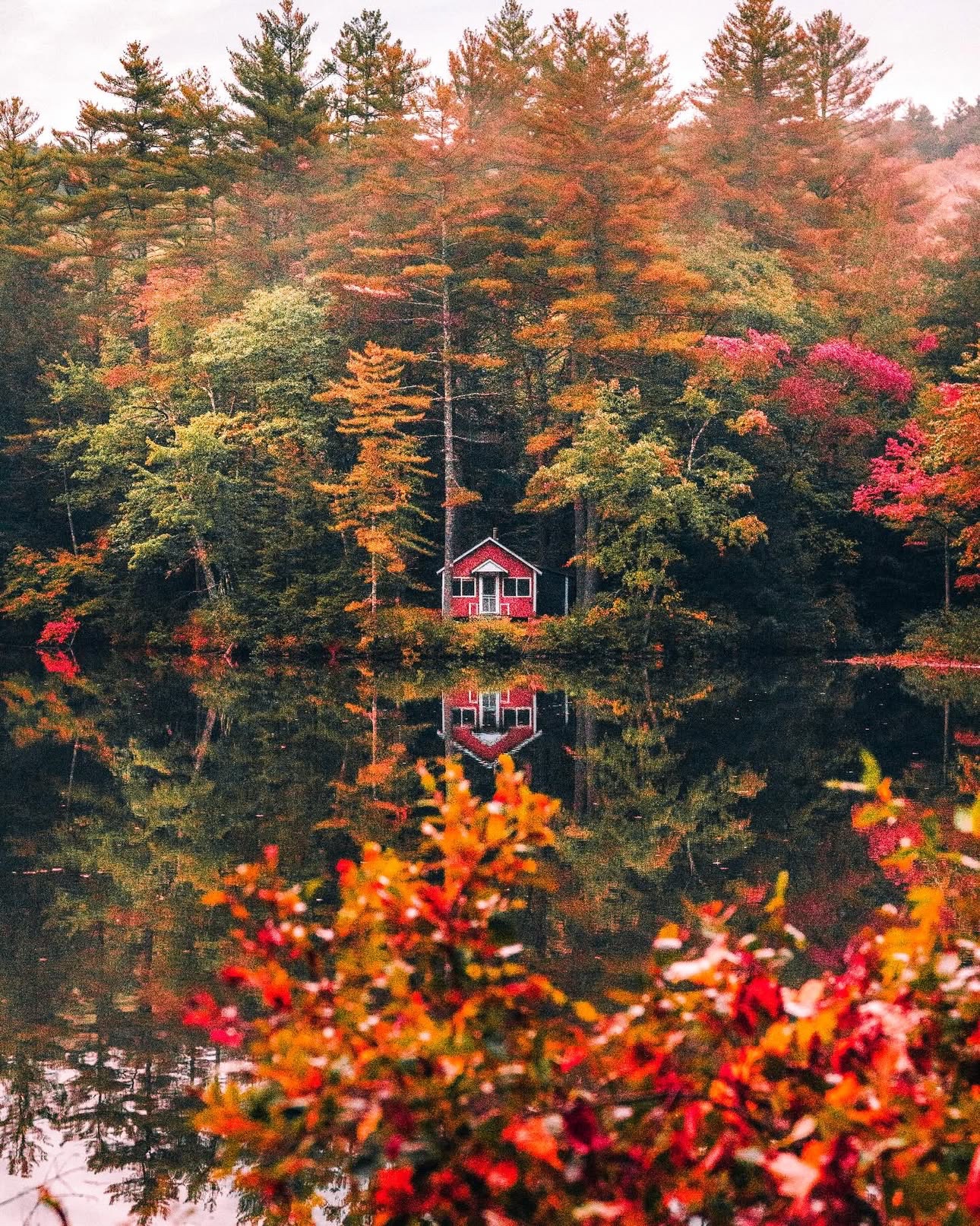 the house in middle of fall season