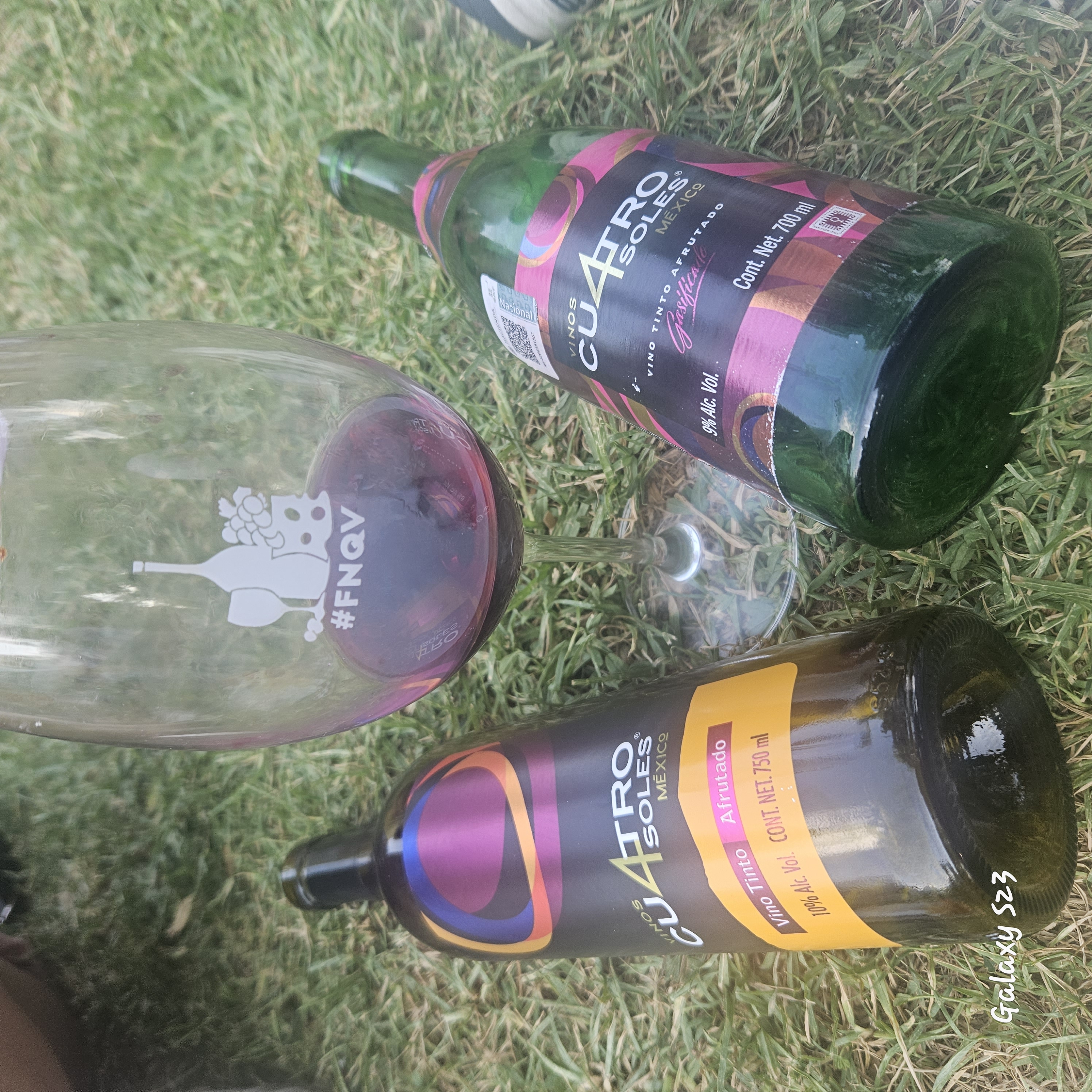 Con vinito y las amigas