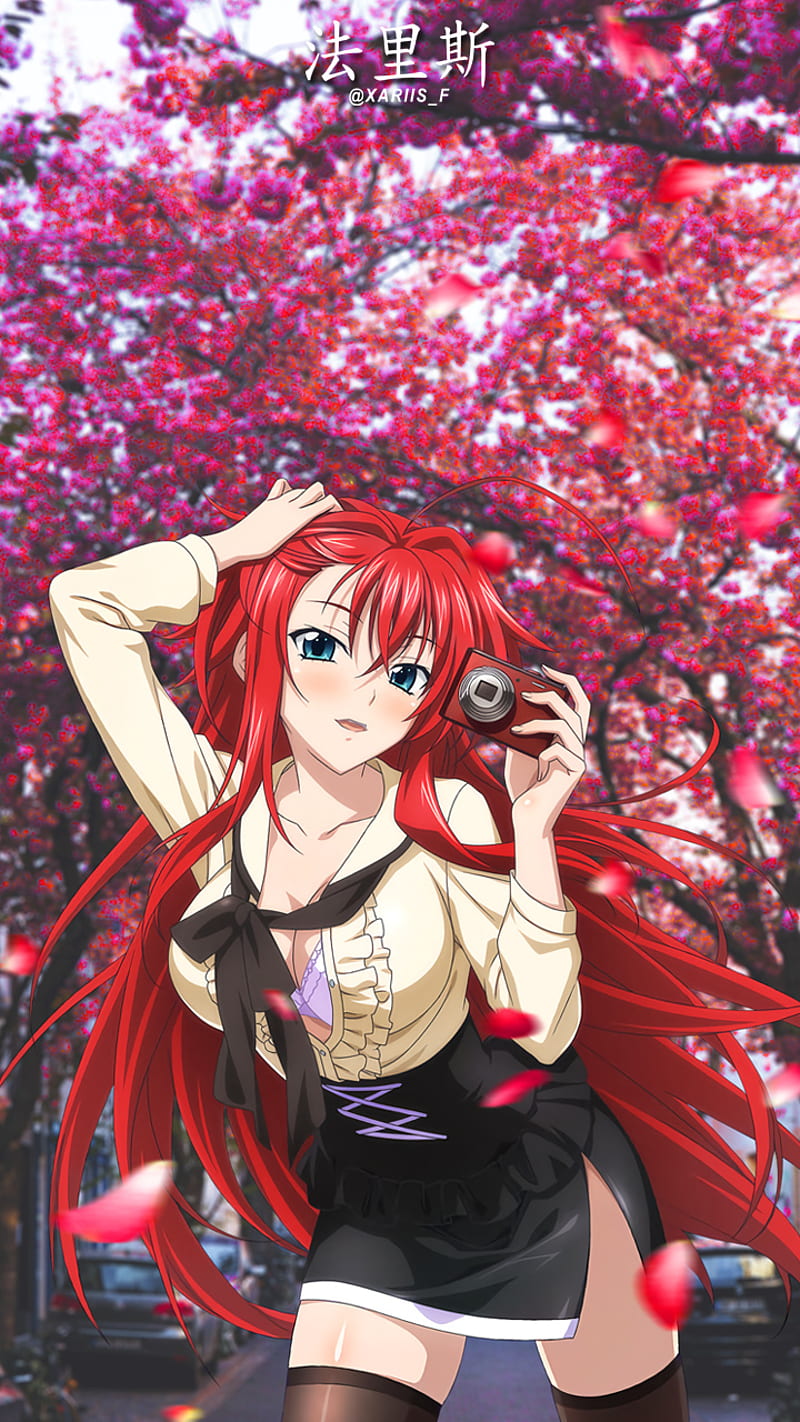 Rias gremory
