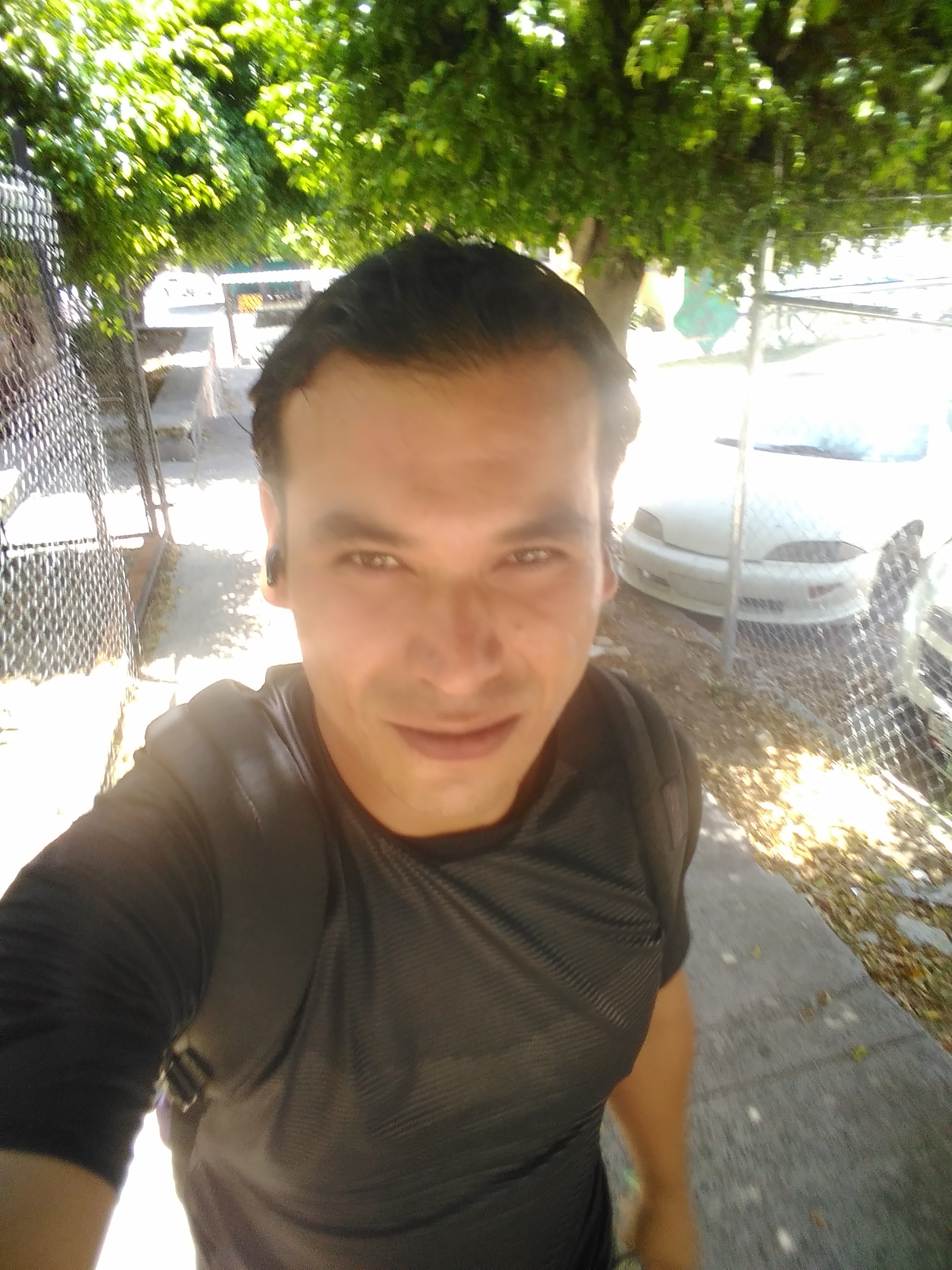 PAL jale