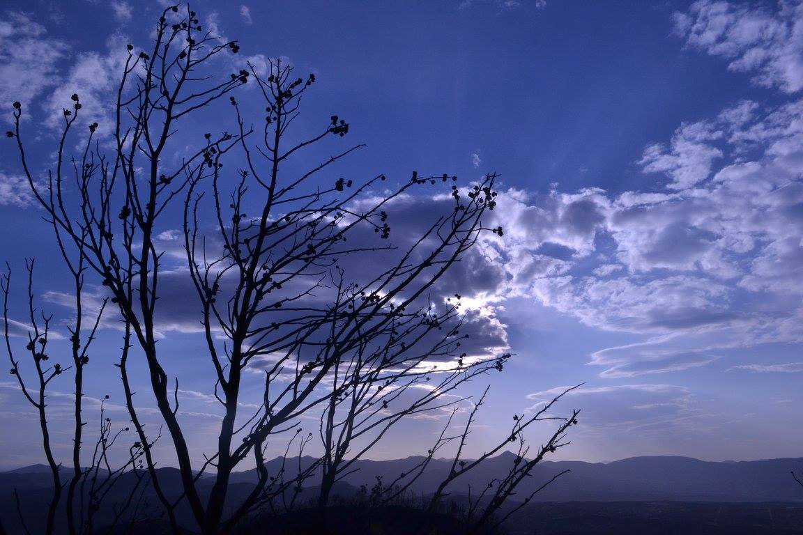 Tarde azul