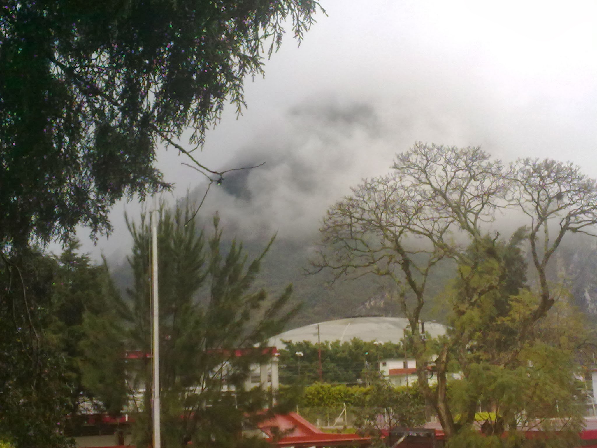 Neblina