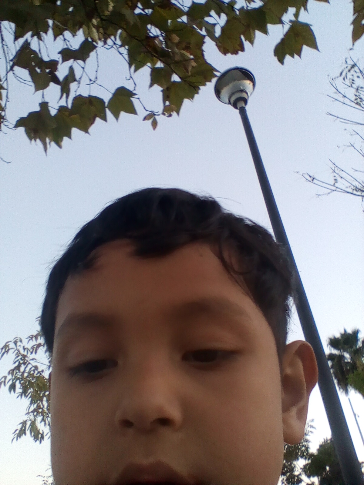 Minimi