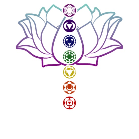 Flor de la vida 7 chakras