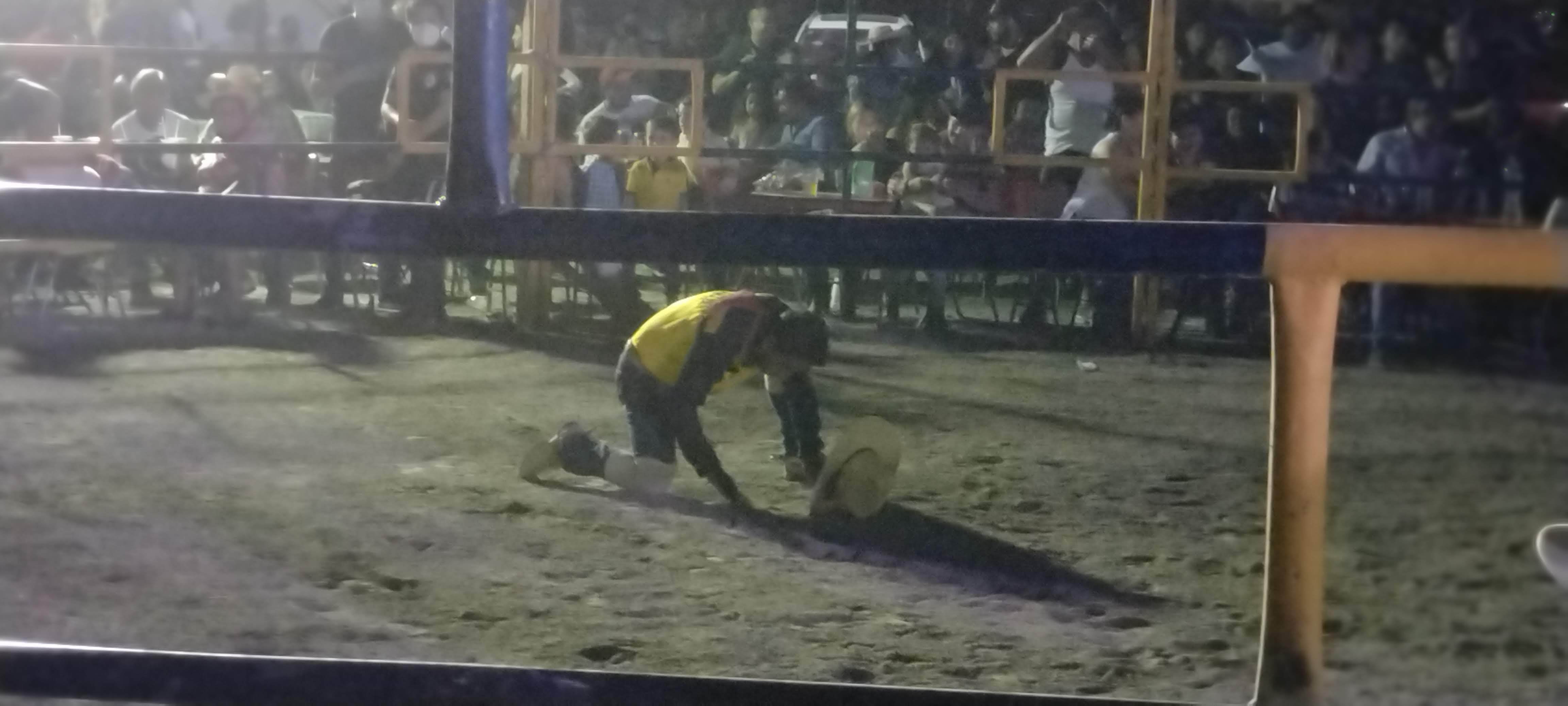 Cascabelito ya en el ruedo