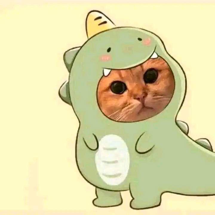 Gatito dino