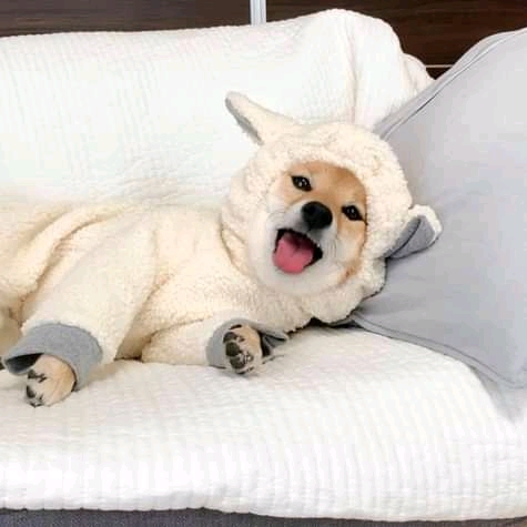 (-u-)