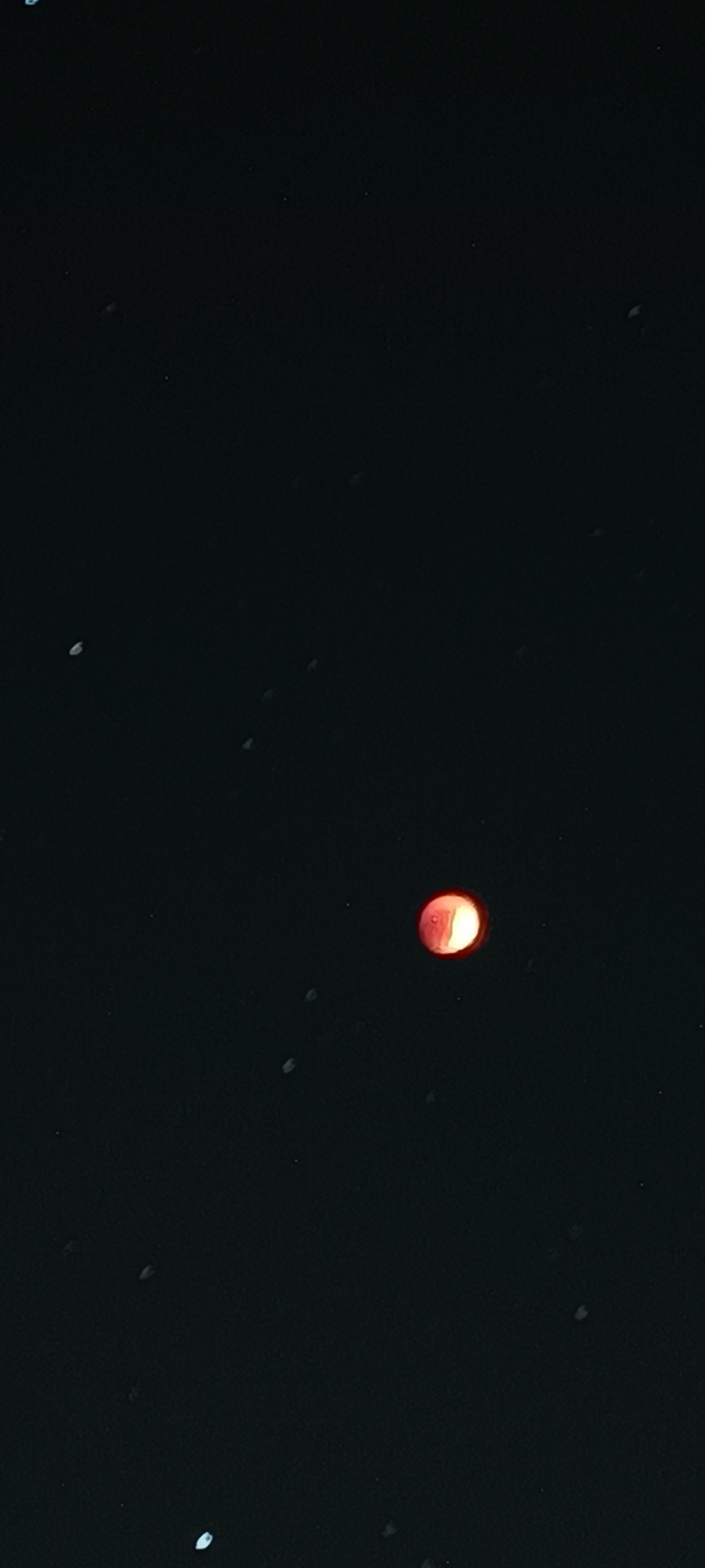 The red moon