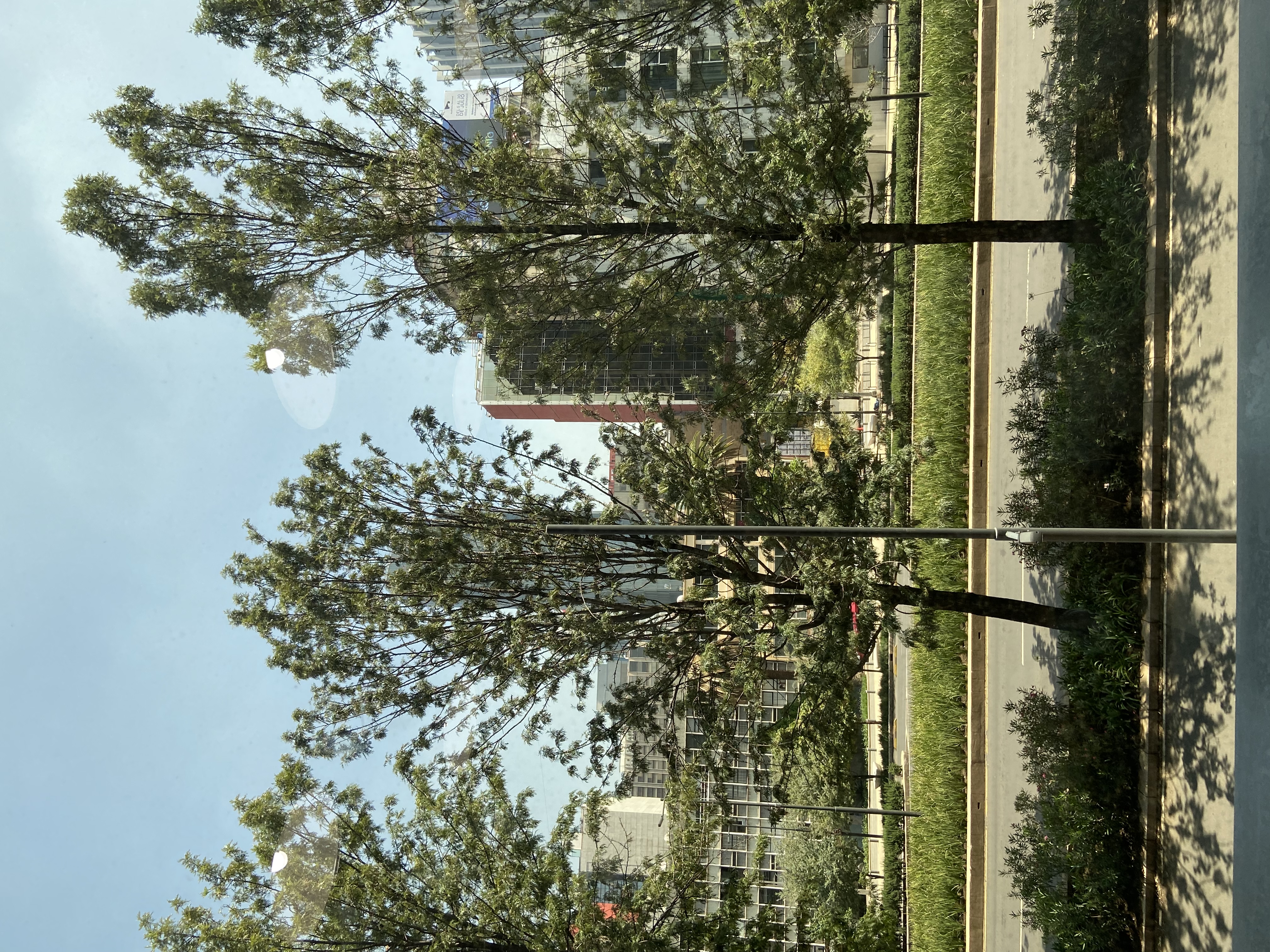 Vista desde mi Oficina