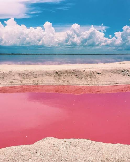 Laguna rosa Yucatan