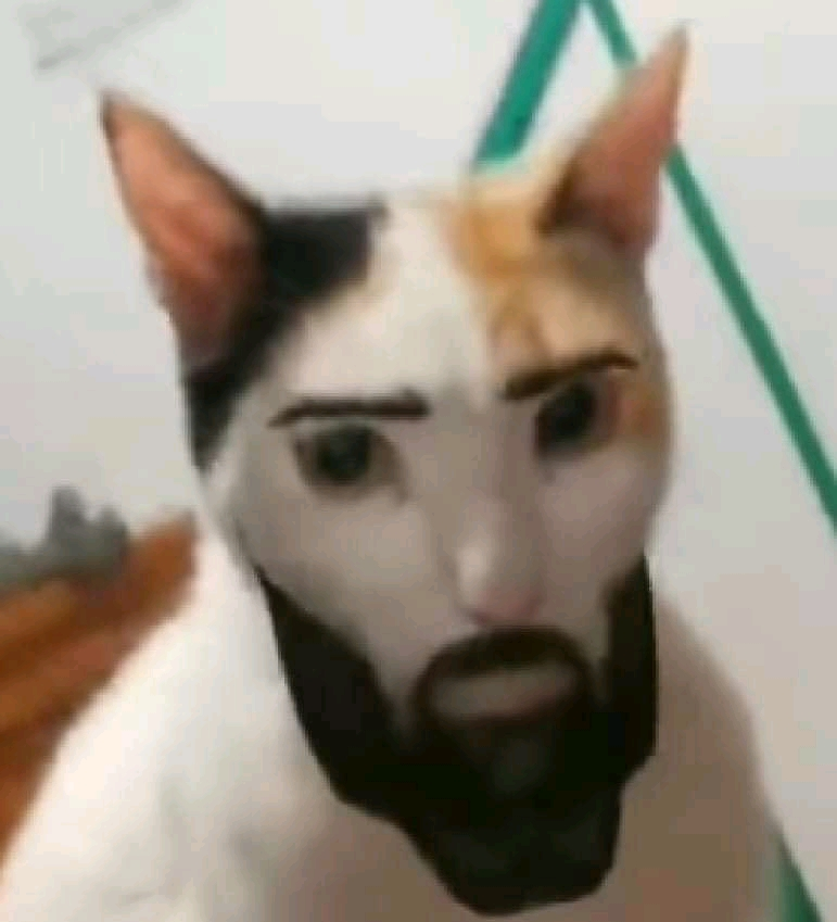 Gatitochad