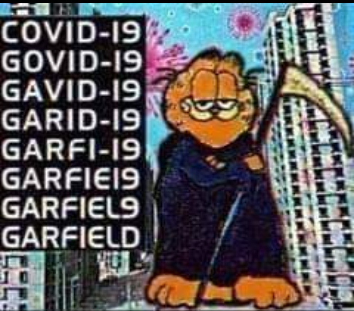 Garfield 19
